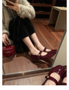 Women's Autumn and Winter Versatile Round Toe Strap Thick Heel Mary Jane Shoes