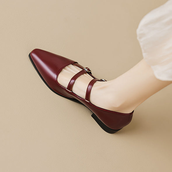 Pointed Toe Mary Jane Shoes French Style Shallow Thick Heel Women's Shoes