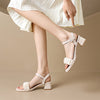 Women's Spring and Summer Chunky Heel High-heeled Sandals and Slippers